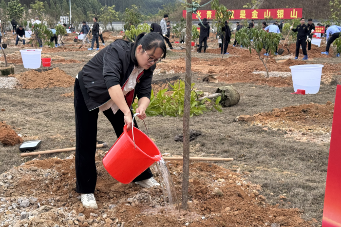 1741918207260061264.png 25年植树活动 (3)_副本.png