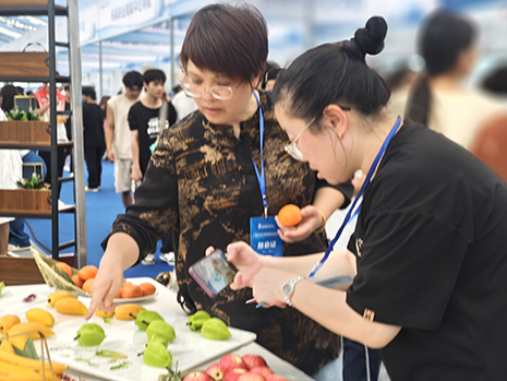 1747381602034059481.jpg 陆向华主任向中国新闻网记者介绍参展作品.jpg