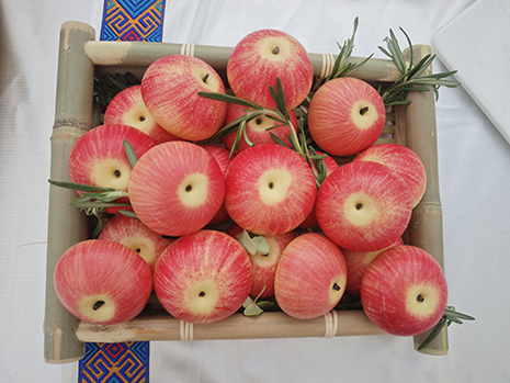 1747381617887051695.jpg 象形面点参展作品:苹果.jpg