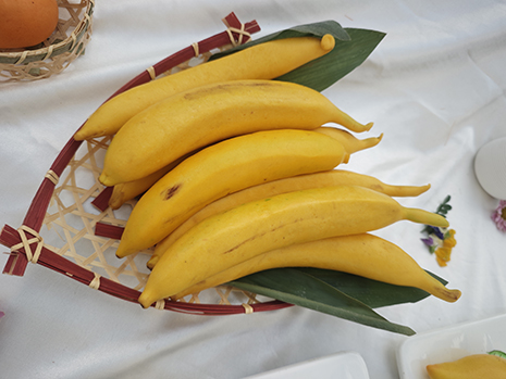 1747381655043082073.jpg 象形面点参展作品:香蕉.jpg